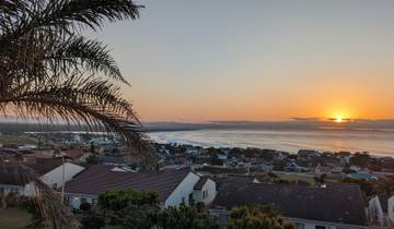 A coastal view at sunset with a palm tree silhouette and ocean waves.