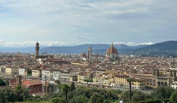 Aerial view of a city featuring a large cathedral with domes.