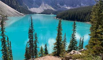 A stunning turquoise lake with pine trees