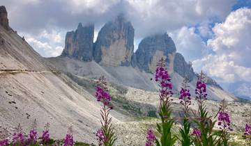 Scenic view of Tre Cime di Lavaredo with foreground of purple flowers.