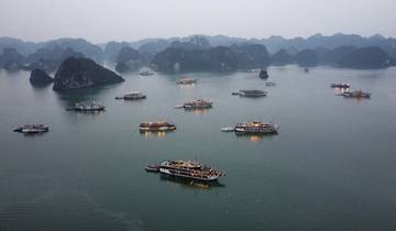 Multiple boats in Ha Long Bay at dusk.