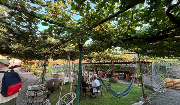 Garden restaurant with people dining under vine-covered trellis.