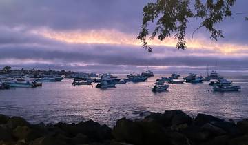 Boats anchored at sea during a colorful sunset.