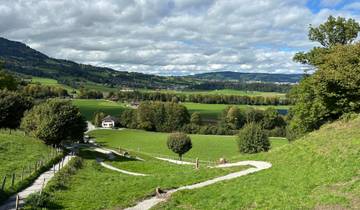A scenic view of lush green landscape with hills and a winding path.