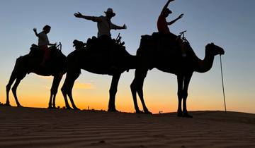 Silhouette of people riding camels at sunset.
