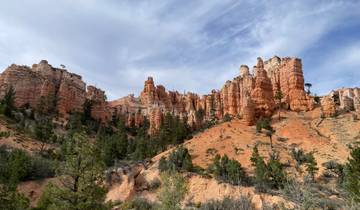 View of Bryce Canyon's rock formations and desert landscape.