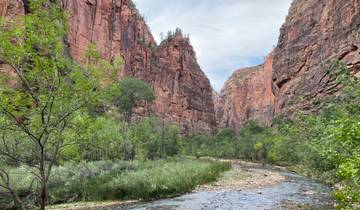 Zion National Park's canyon landscape with river and greenery.