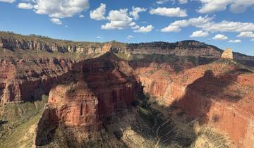Aerial view of the expansive Grand Canyon bathed in sunlight, showcasing deep shadows.