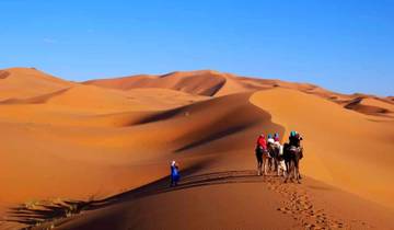 Caravan of camels crossing sand dunes