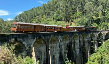 Train on a stone viaduct surrounded by trees.