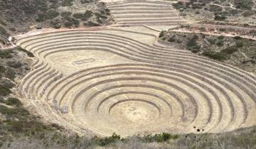 Circular terraced fields in a valley.