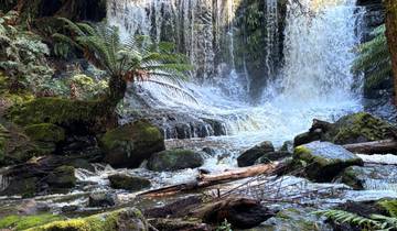 Waterfall with lush green surroundings.