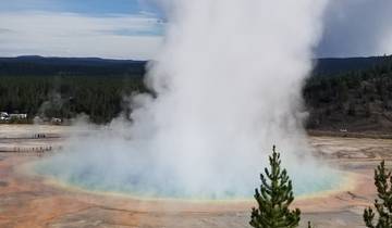 Geyser erupting with colorful pool and pine trees around