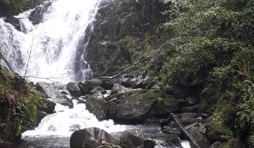Waterfall flowing over rocks surrounded by lush greenery