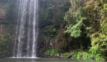 Majestic waterfall surrounded by lush greenery.