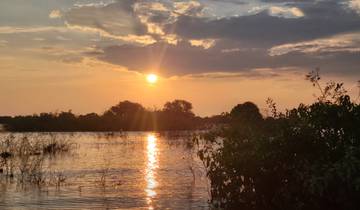 Sunset over a river with foliage.