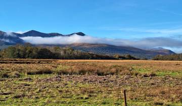 Landscape with grassy field, trees, and mountains under a blue sky.