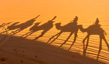Shadows of camels and riders on sand dunes.