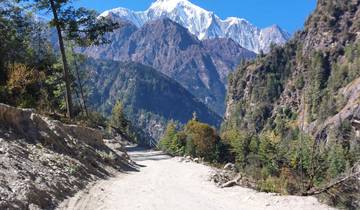 Mountainous road flanked by forest and snow-capped peaks.