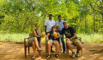 Group of people enjoying coconuts in a shady area.