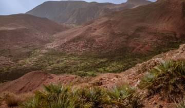 Terraced fields in a rocky valley.