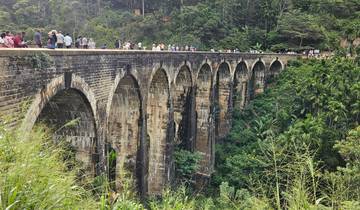 Historic arched bridge with scenic background.