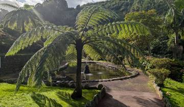 A serene garden setting with a palm-like tree next to a pond.