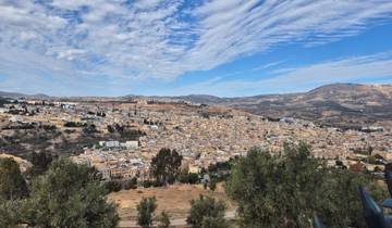 A panoramic view of a hilly cityscape under a cloudy sky.