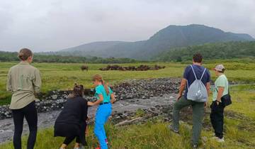 People viewing a herd of animals in the wild.