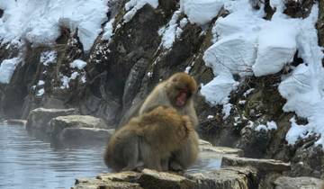 Two Japanese macaque monkeys sitting by a hot spring in the snow.