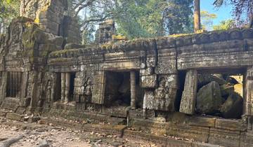 Ancient temple ruins with intricate carvings in a forested area.