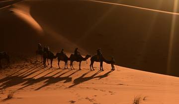 Camels and shadows cast on sand dunes.