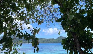 View through tree foliage of blue water and distant green hills.