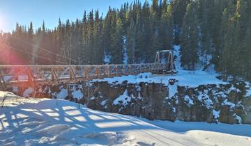 Snow-covered suspension bridge in a forest.