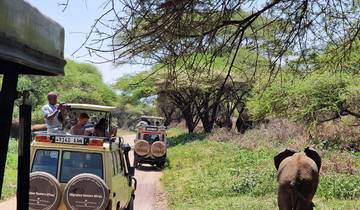 Safari vehicles with tourists observing elephants.
