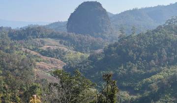 View of lush green mountain landscape.