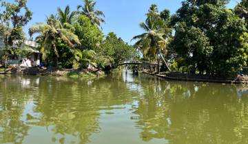 Peaceful canal surrounded by lush greenery and trees.