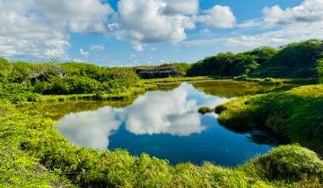Clear pond surrounded by lush greenery reflecting the clouds.
