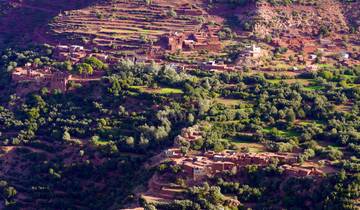Lush landscape with terraced fields and traditional buildings.