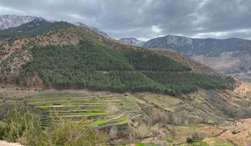 Terraced fields on a mountainous hillside.