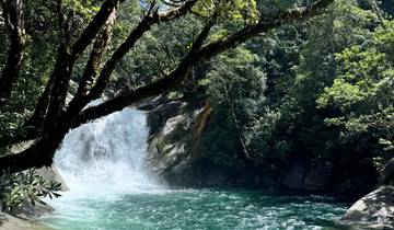 Waterfall in a dense forest area.