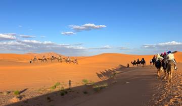 Camel caravan in desert landscape.