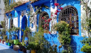 Vibrantly painted blue and white house with potted plants.
