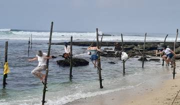People engaging in stilt fishing along the coast.