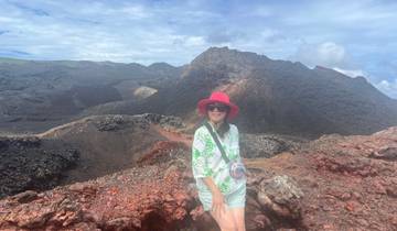 A person standing in front of a volcanic landscape with a clear sky.