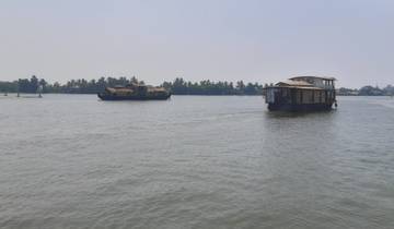 Houseboats on a lake with palm trees in the background