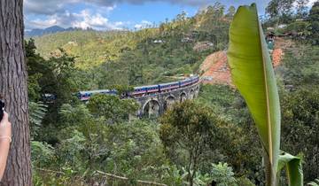 A train crossing the iconic Nine Arches Bridge in a forested area.