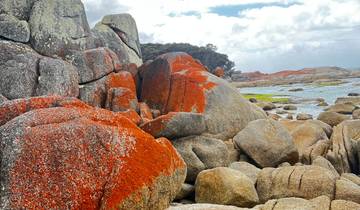 Brightly colored rocks by the ocean, covered with orange lichen.