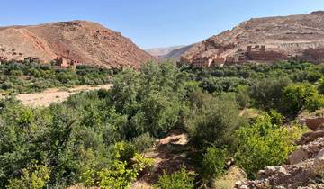 Lush green valley with a village in the mountains.