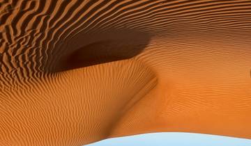 Golden sand dunes under a clear blue sky.